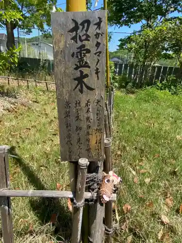 大浦神社の{uncategorized: "未分類", other: "その他", undefined: "問題あり", building: "その他建物", grave: "お墓", sacred_gate: "鳥居", guardian: "狛犬", statue: "像", buddha: "仏像", history: "歴史", nature: "自然", garden: "庭園", animal: "動物", pagoda: "塔", temizu: "手水舎", mountain_gate: "山門・神門", sanctuary: "本殿・本堂", subordinate: "末社・摂社", art: "芸術", scenery: "景色", jizo: "地蔵", ema: "絵馬", goshuin: "御朱印", omikuji: "おみくじ", items: "授与品その他", amulet: "お守り", goshuincho: "御朱印帳", eats: "食事", festival: "お祭り", votive_dance: "神楽", shichigosan: "七五三参", wedding: "結婚式", experience: "体験その他", initially: "初詣", around: "周辺", anti_infection: "感染症対策"}