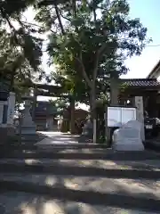 八坂神社の鳥居