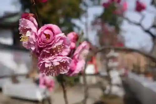 菅原天満宮（菅原神社）の自然