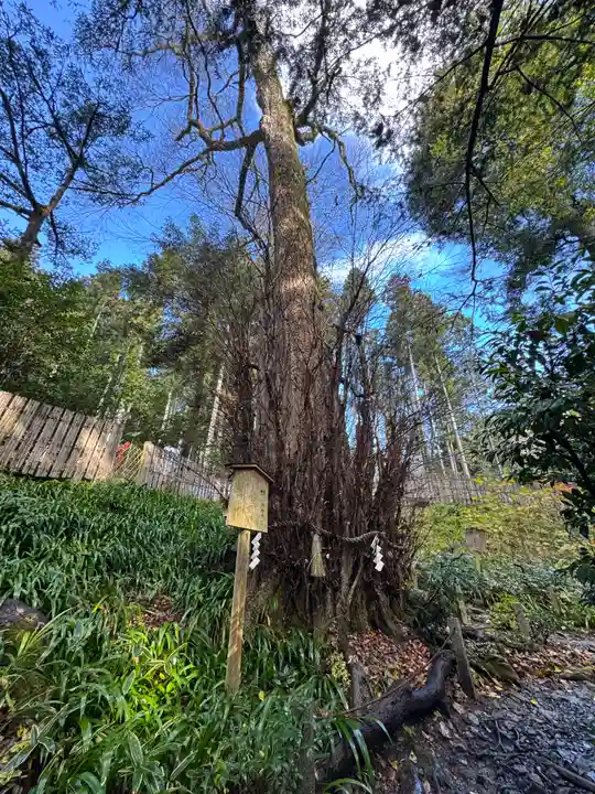 貴船神社結社(京都府)