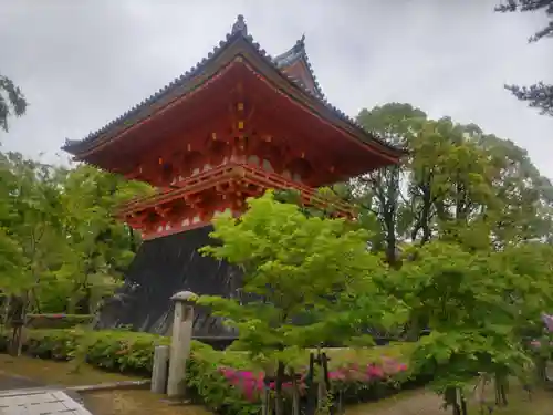 仁和寺(京都府)