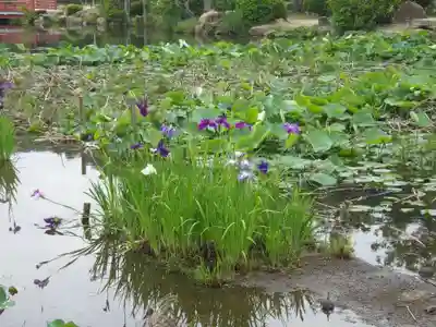 東行庵(山口県)