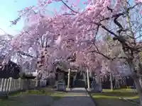 熊野神社の庭園