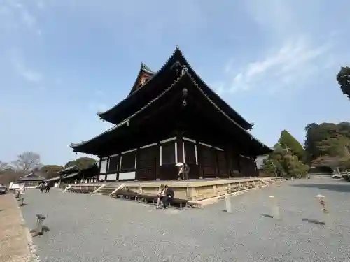 東福禅寺（東福寺）の{uncategorized: "未分類", other: "その他", undefined: "問題あり", building: "その他建物", grave: "お墓", sacred_gate: "鳥居", guardian: "狛犬", statue: "像", buddha: "仏像", history: "歴史", nature: "自然", garden: "庭園", animal: "動物", pagoda: "塔", temizu: "手水舎", mountain_gate: "山門・神門", sanctuary: "本殿・本堂", subordinate: "末社・摂社", art: "芸術", scenery: "景色", jizo: "地蔵", ema: "絵馬", goshuin: "御朱印", omikuji: "おみくじ", items: "授与品その他", amulet: "お守り", goshuincho: "御朱印帳", eats: "食事", festival: "お祭り", votive_dance: "神楽", shichigosan: "七五三参", wedding: "結婚式", experience: "体験その他", initially: "初詣", around: "周辺", anti_infection: "感染症対策"}