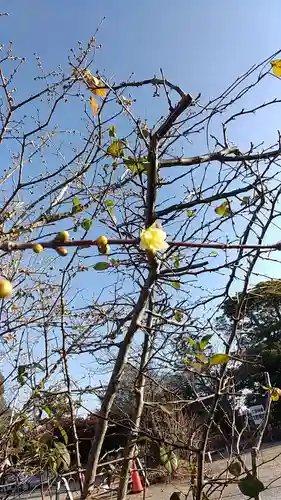 比佐豆知神社(三重県)
