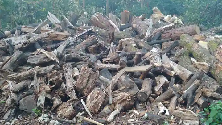 伏見稲荷大社のその他建物