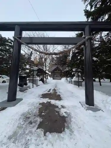 大麻神社の{uncategorized: "未分類", other: "その他", undefined: "問題あり", building: "その他建物", grave: "お墓", sacred_gate: "鳥居", guardian: "狛犬", statue: "像", buddha: "仏像", history: "歴史", nature: "自然", garden: "庭園", animal: "動物", pagoda: "塔", temizu: "手水舎", mountain_gate: "山門・神門", sanctuary: "本殿・本堂", subordinate: "末社・摂社", art: "芸術", scenery: "景色", jizo: "地蔵", ema: "絵馬", goshuin: "御朱印", omikuji: "おみくじ", items: "授与品その他", amulet: "お守り", goshuincho: "御朱印帳", eats: "食事", festival: "お祭り", votive_dance: "神楽", shichigosan: "七五三参", wedding: "結婚式", experience: "体験その他", initially: "初詣", around: "周辺", anti_infection: "感染症対策"}