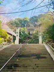 四條畷神社の建物その他