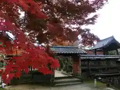 大覚寺(京都府)