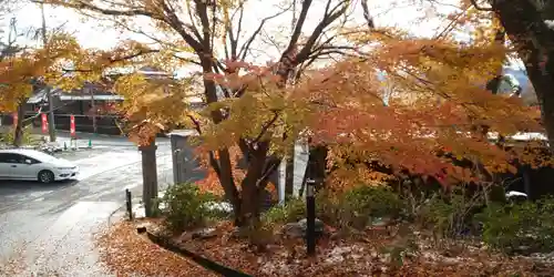 出雲大神宮の庭園