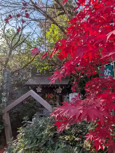 阿佐ヶ谷神明宮(東京都)