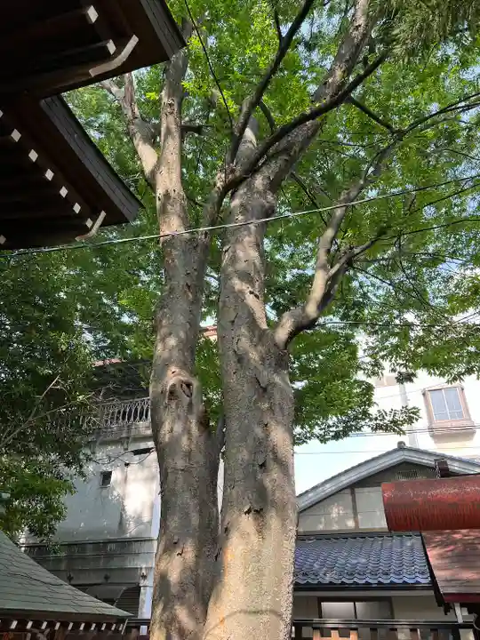 福島稲荷神社(福島県)