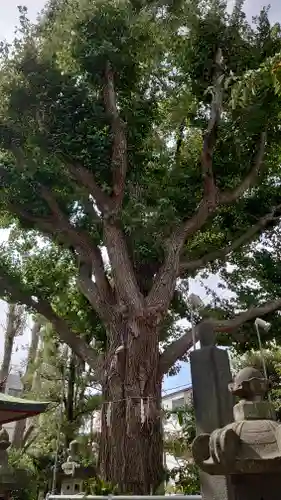 秋葉神社(東京都)