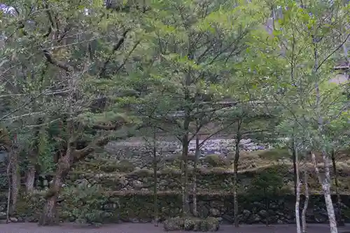 丹生川上神社（中社）の自然