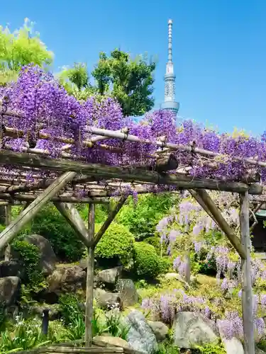 亀戸天神社の庭園