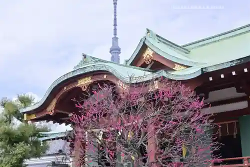 亀戸天神社(東京都)