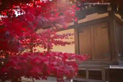 東漸寺(千葉県)