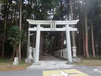 瀧樹神社の鳥居