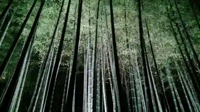 青蓮院門跡(京都府)