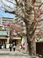 榴岡天満宮の{uncategorized: "未分類", other: "その他", undefined: "問題あり", building: "その他建物", grave: "お墓", sacred_gate: "鳥居", guardian: "狛犬", statue: "像", buddha: "仏像", history: "歴史", nature: "自然", garden: "庭園", animal: "動物", pagoda: "塔", temizu: "手水舎", mountain_gate: "山門・神門", sanctuary: "本殿・本堂", subordinate: "末社・摂社", art: "芸術", scenery: "景色", jizo: "地蔵", ema: "絵馬", goshuin: "御朱印", omikuji: "おみくじ", items: "授与品その他", amulet: "お守り", goshuincho: "御朱印帳", eats: "食事", festival: "お祭り", votive_dance: "神楽", shichigosan: "七五三参", wedding: "結婚式", experience: "体験その他", initially: "初詣", around: "周辺", anti_infection: "感染症対策"}