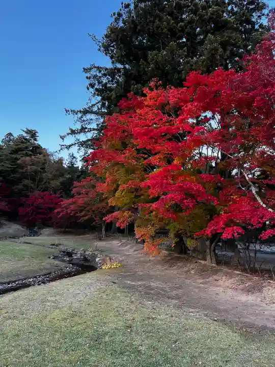 毛越寺(岩手県)
