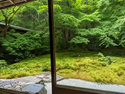 光明寺瑠璃光院(京都府)