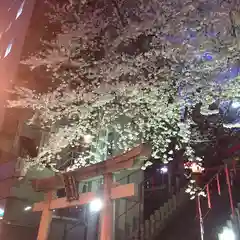 三田春日神社の鳥居