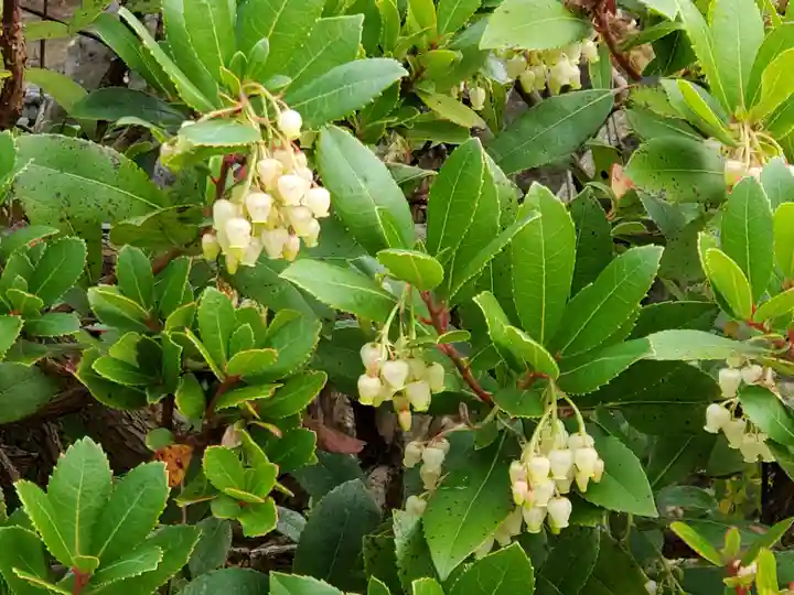 福祥寺(須磨寺)の自然