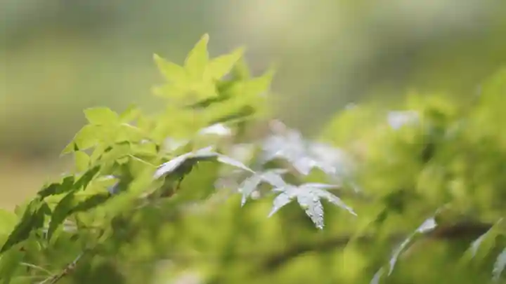 青蓮院門跡(京都府)