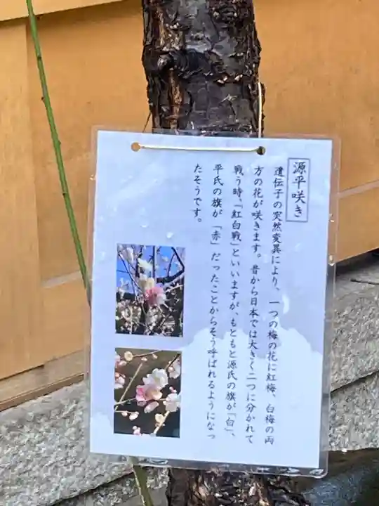 菅原院天満宮神社(京都府)