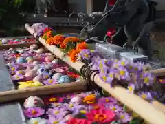 今市報徳二宮神社の手水