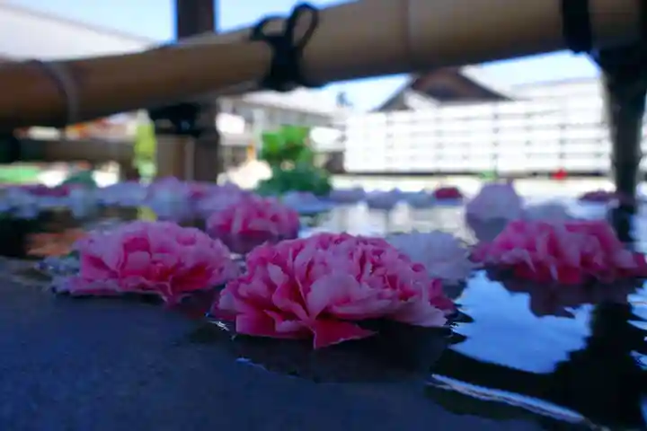 豊川閣 妙厳寺の手水舎