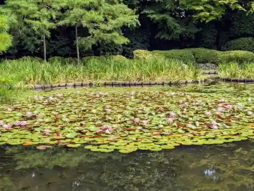 平安神宮(京都府)