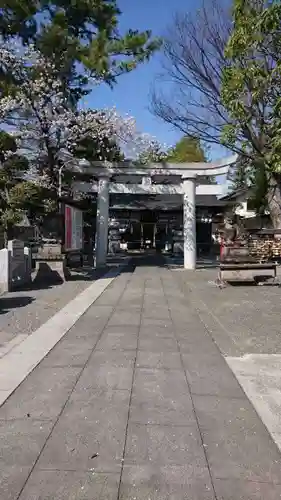 正ノ木稲荷 稲積神社の鳥居