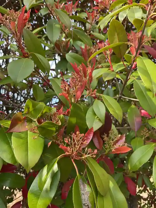 渭信寺(愛知県)