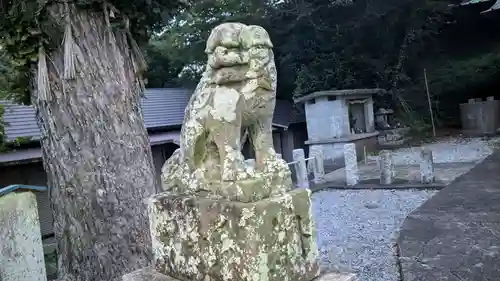 國司神社の狛犬