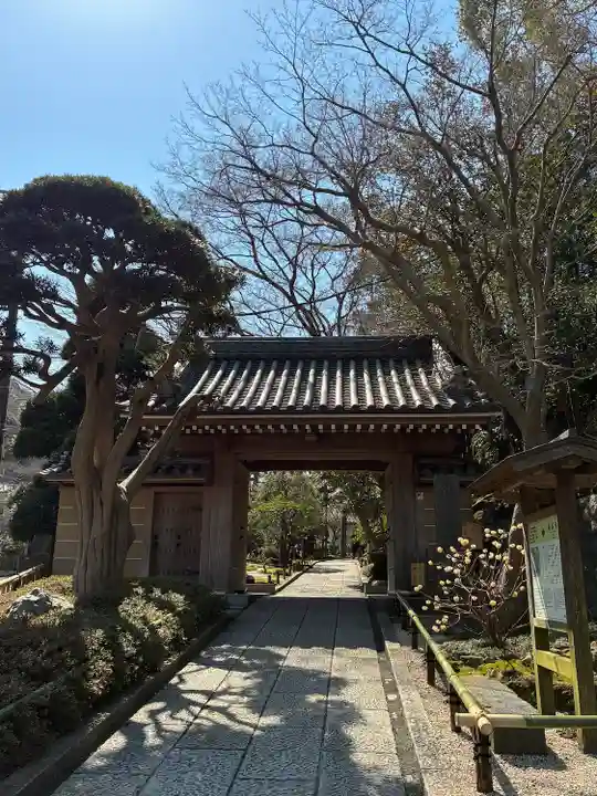 報国寺(神奈川県)