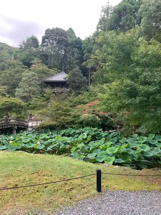 知恩院(京都府)