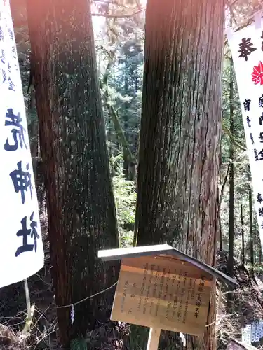 荒神社の自然