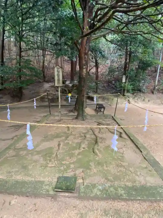 安仁神社の{uncategorized: "未分類", other: "その他", undefined: "問題あり", building: "その他建物", grave: "お墓", sacred_gate: "鳥居", guardian: "狛犬", statue: "像", buddha: "仏像", history: "歴史", nature: "自然", garden: "庭園", animal: "動物", pagoda: "塔", temizu: "手水舎", mountain_gate: "山門・神門", sanctuary: "本殿・本堂", subordinate: "末社・摂社", art: "芸術", scenery: "景色", jizo: "地蔵", ema: "絵馬", goshuin: "御朱印", omikuji: "おみくじ", items: "授与品その他", amulet: "お守り", goshuincho: "御朱印帳", eats: "食事", festival: "お祭り", votive_dance: "神楽", shichigosan: "七五三参", wedding: "結婚式", experience: "体験その他", initially: "初詣", around: "周辺", anti_infection: "感染症対策"}