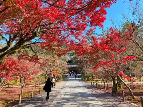 南禅寺(京都府)