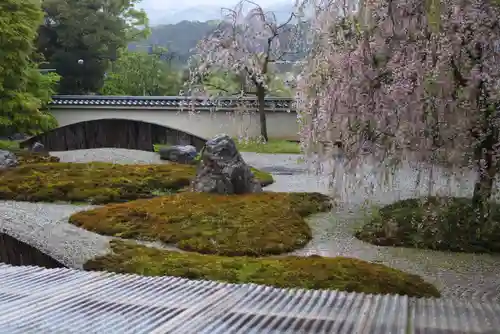 大徳寺の庭園