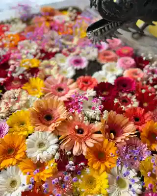 札幌諏訪神社の手水舎