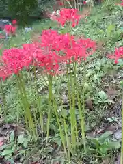 陽林寺(福島県)