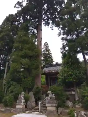 八幡神社(福井県)