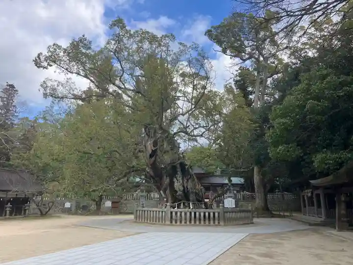 大山祇神社(愛媛県)