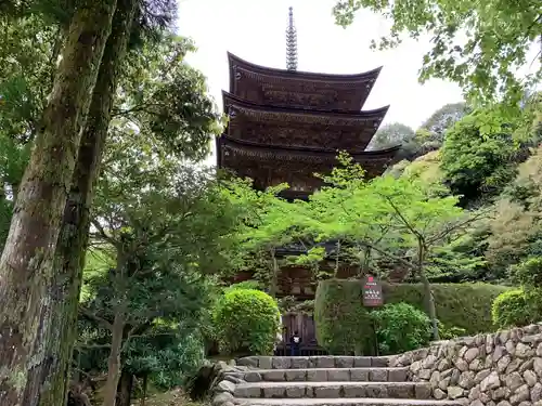 瑠璃光寺の建物その他