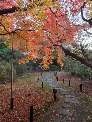 青蓮院門跡(京都府)