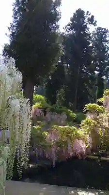 歌泉堂(春日大社神苑萬葉植物園内鎮座)(奈良県)
