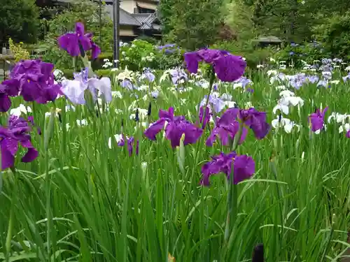 天台宗　長窪山　正覚寺の自然